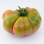 Tomato_Beefsteak_Chocolate Stripe_MGFT-150