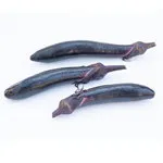 Eggplant_Orient Express_MGFT-150