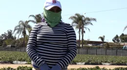 Trabajadora agricola