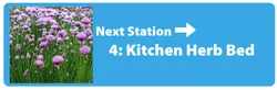 Next station - Kitchen herb bed