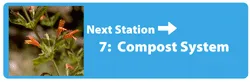 Next station Compost