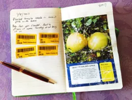 Garden Journal © Elaine Richards