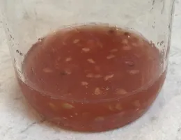 A clear glass jar filled with pinkish liquid and small seeds inside, resting on a light-colored surface.