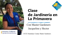 Master Gardener in a garden holding a basket of vegetables.