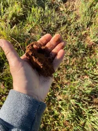 Photo Mar 20, 8 59 43 AM