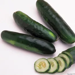 Three dark green cucumbers with one sliced into round pieces, displaying their light green interior and seeds.