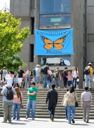 Insect displays and activities are a popular part of the annual UC Davis Picnic Day. (Photo by Kathy Keatley Garvey)