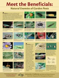 UC IPM Meet the Beneficials: Natural Enemies of Garden Pests