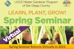 Spring-Seminar-FS-Banner