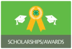 Scholarships Awards
