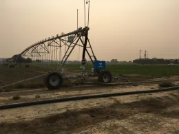 Figure 1. UC Davis trial location with overhead irrigation system used to apply irrigation treatments.