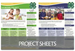 Project Sheets