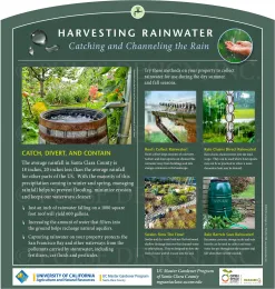 Infographic on rainwater harvesting, featuring images of a wooden barrel, gutter systems, rain chains, and swales, with descriptive text about collection methods and benefits in agricultural practices.