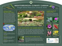 Informative poster about Mediterranean climate gardening featuring a colorful garden scene with drought-tolerant plants and educational sections on climate, plant adaptations, and gardening tips.