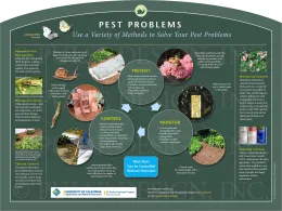 Informational poster titled "Pest Problems," showing various methods of pest management in gardening, including illustrations of pests, plants, and control techniques.