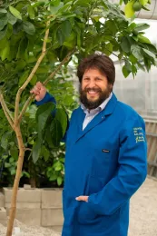 Georgios Vidalakis standing by Bidwell's Bar orange tree