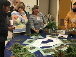 Five people standing around a table looking at samples of weeds.