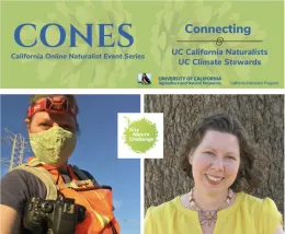 Screen Shot 2022-07-11 at 10.09.40 AM