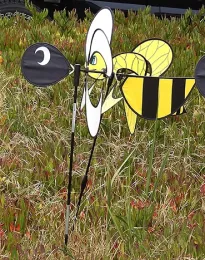 This honey bee was not seeking nectar or pollen, but the wind. (Photo by Kathy Keatley Garvey)