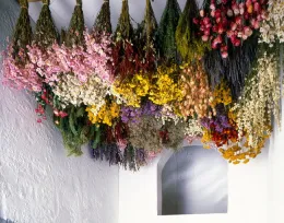 dried flowers
