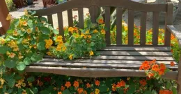 garden bench