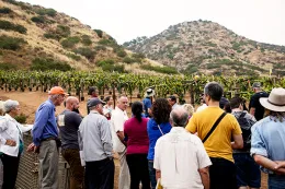 2017 Pitahaya Field Tour