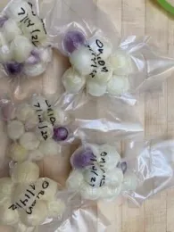 Ready for freezer storage