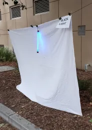 The blacklighting display. (Photo by Tabatha Yang)