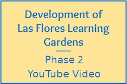 Click to view YouTube.