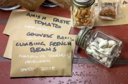 Label and store seeds in airtight containers in a cool, dark place, UC Marin Master Gardeners
