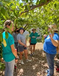 FoodCorps tree pruning workshop