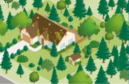 Before implementation of defensible space