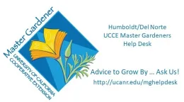 Advice to grow by ask us