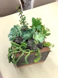 Wooden box with colorful succulents that are tall, medium, and others that drape out the front. Anne Schellman