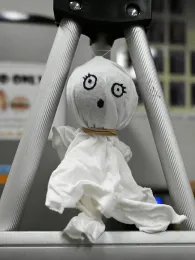 A gall ghost, comprised of an oak gall and a white cloth. (Photo by Kathy Keatley Garvey)