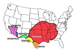 Map showing that the range of the brown recluse does not extend into California.