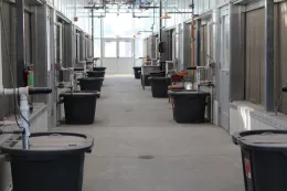 KARE greenhouse 10 22