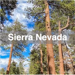 Sierra Nevada