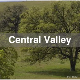 Central Valley