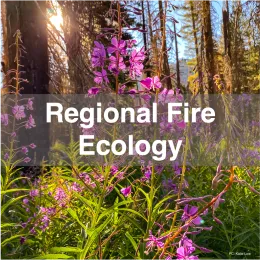Regional Fire Ecology