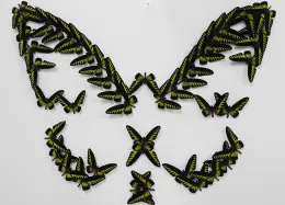 The beginning of the display, the work of Brittany Kohler. (Photo by Kathy Keatley Garvey)