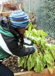 Copyright © 2016 The Regents of the University of California. All Rights Reserved.