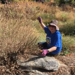 Screen Shot 2020-08-15 at 2.53.21 PM