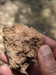 Hand holding a rounded piece of soil.