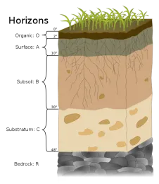 Graphic of soil horizons showing the surface, substratum, subsoil, and bedrock.