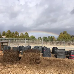 MCP rainbow 3 11.2.22