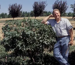 Man leaning on fruit tree that is less than 5' tall.