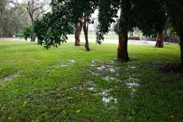 Credit: Steve Garner, Flikr.