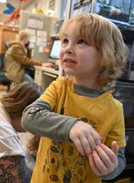 Teddy Marlatte is absolutely delighted to hold a stick insect, aka walking stick. (Photo by Kathy Keatley Garvey)