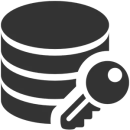 Disk Encryption icon